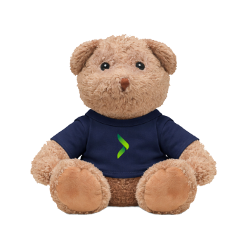 Teddy bear